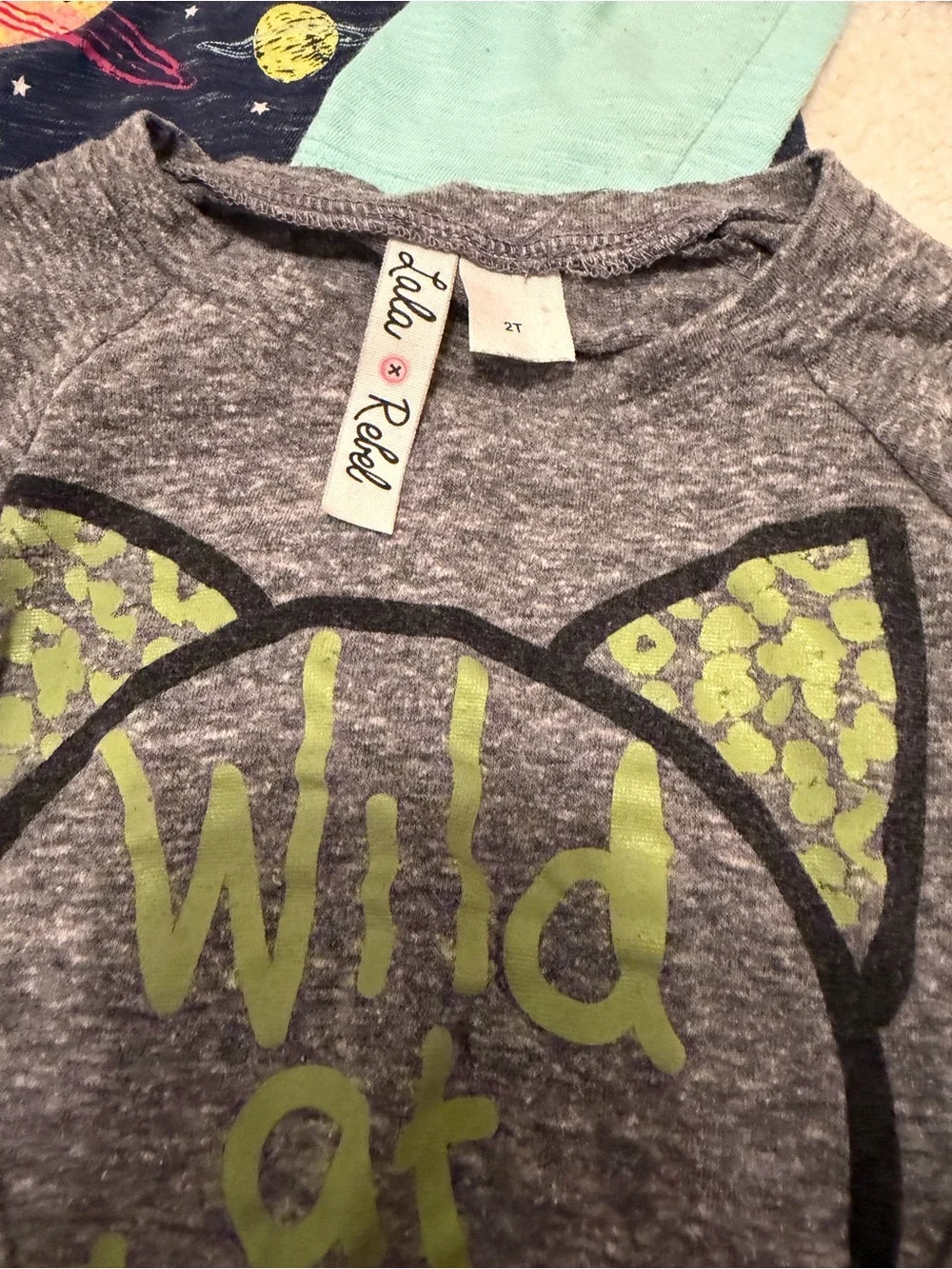 Cat & Jack and Lala Toddler Girl Clothing Lot Size 2T